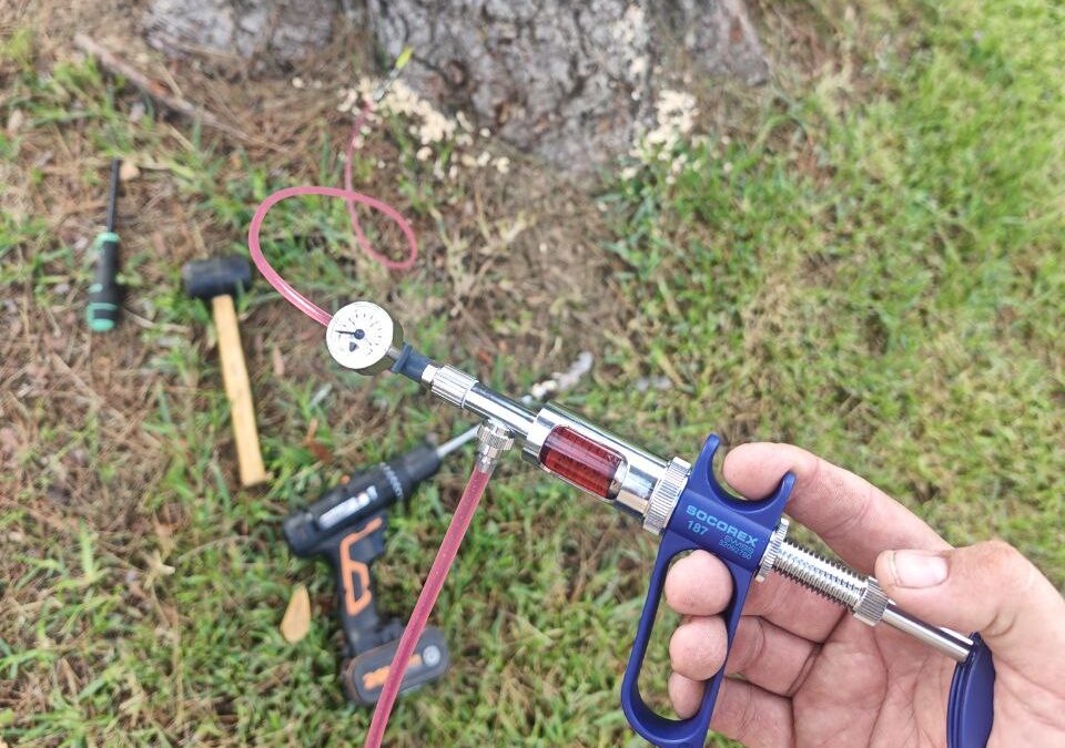 Noves tècniques sostenibles: l’endoteràpia vegetal arriba a Entra! Cooperativa