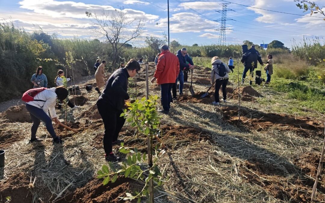 Plantada popular a la Riera de la Boella